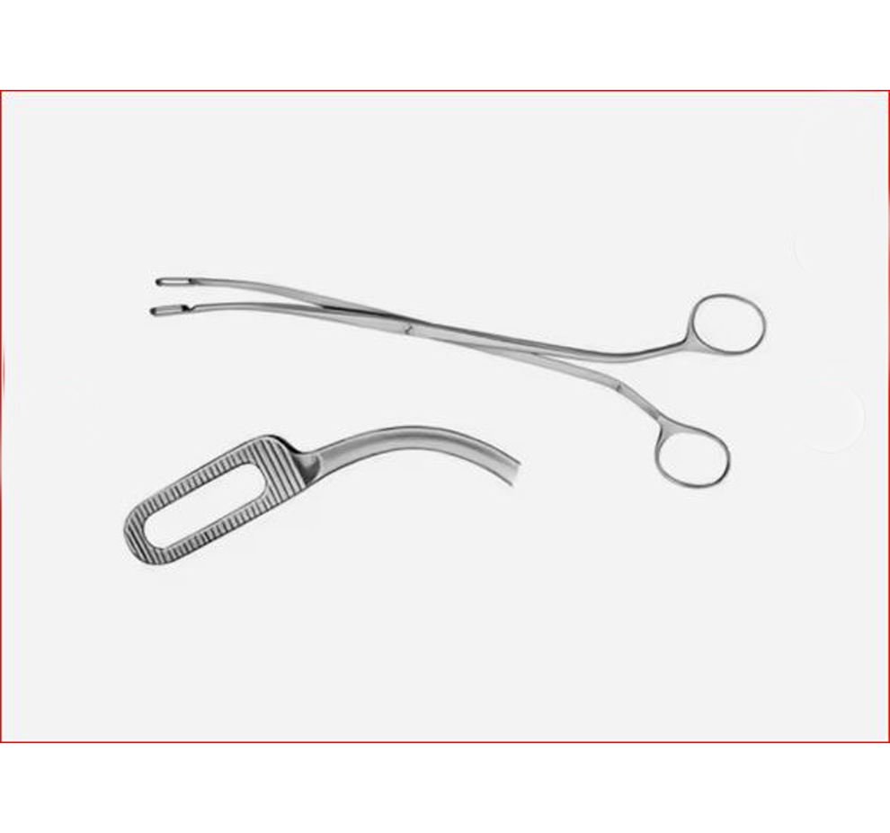 Desjardin Forceps – Surgical Grade Stainless steel - Image 2