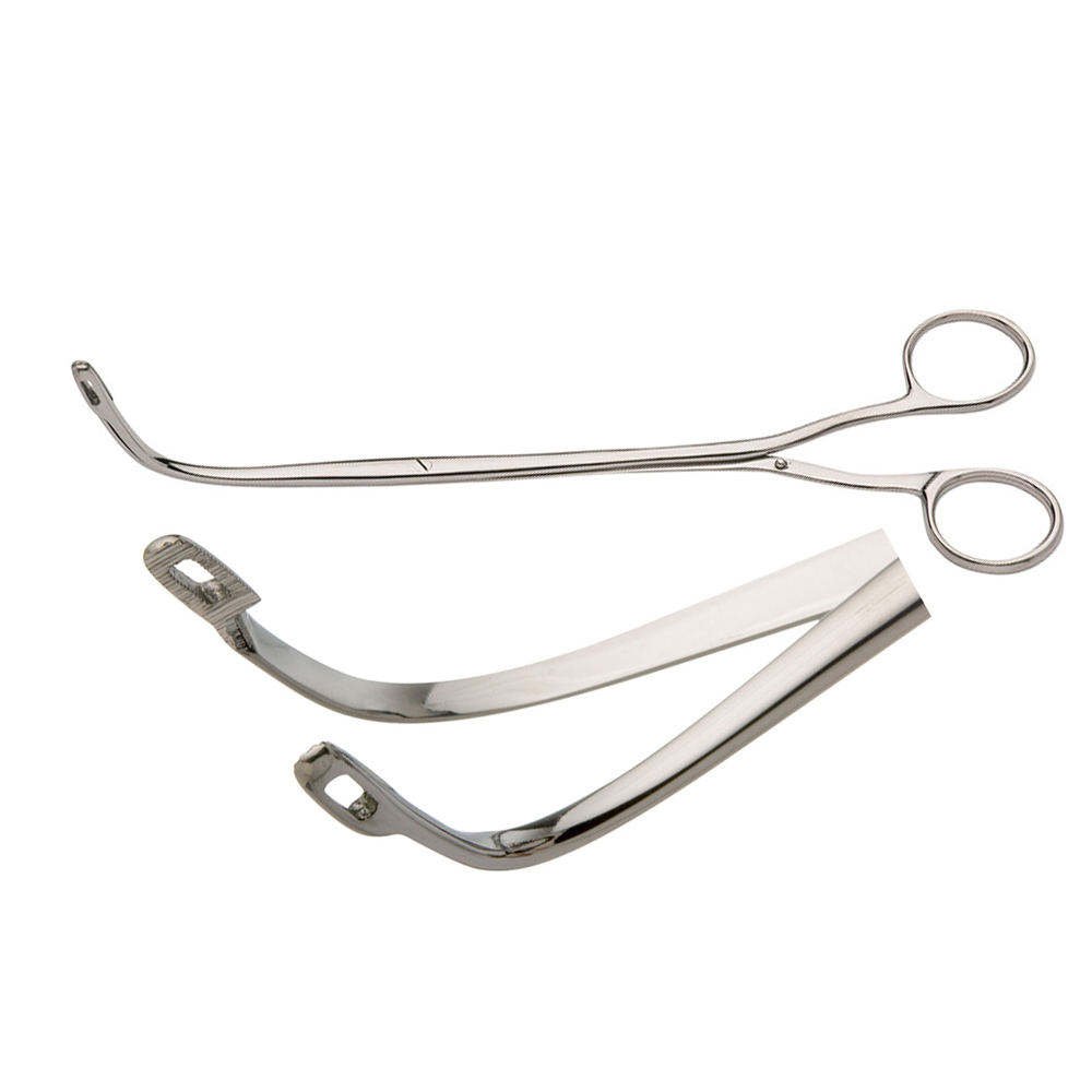 Randall Forceps – Surgical Grade Stainless Steel - Image 3